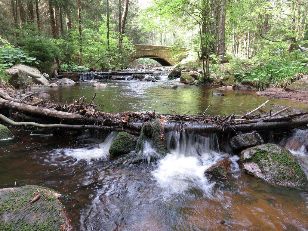Fewo Kruse Am Wurmberg Braunlage Exterior foto